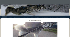 Desktop Screenshot of alaskamalamute.nl